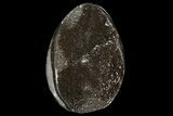 Bargain Septarian Dragon Egg Geode - Black Crystals #96013-1
